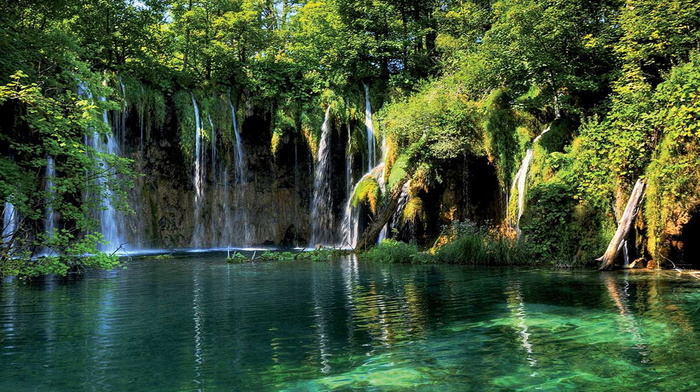 greenery, waterfall, nature, beauty, trees, lake