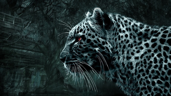 predator, beautiful, 3D, fantasy, leopard