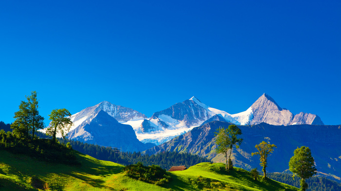 Switzerland, nature, greenery, Alps