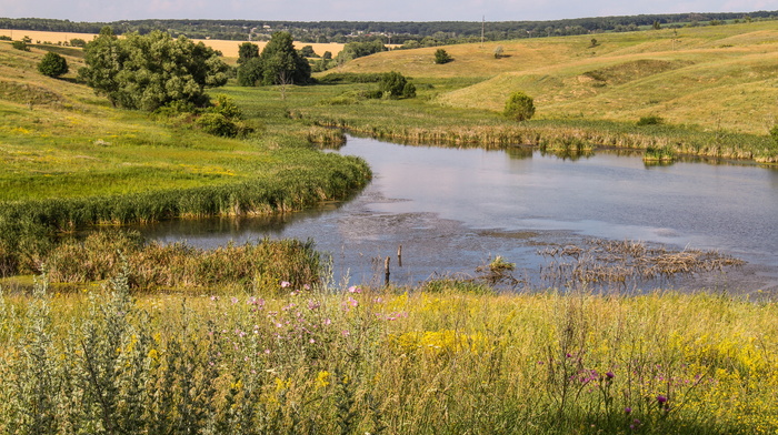 nature, sky, lake, grass