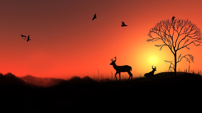 nature, sunset, animals, deer