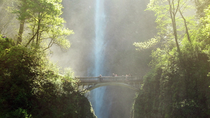 bridge, beauty, greenery, waterfall, stunner
