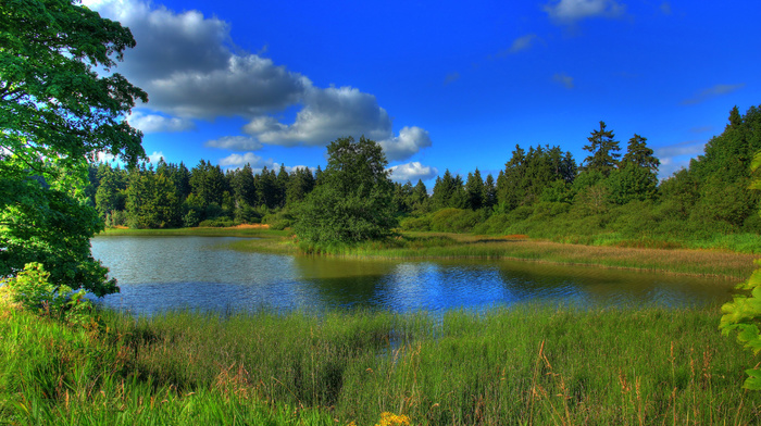 landscape, river, clouds, nature, forest, grass, trees, sky, Germany, lake