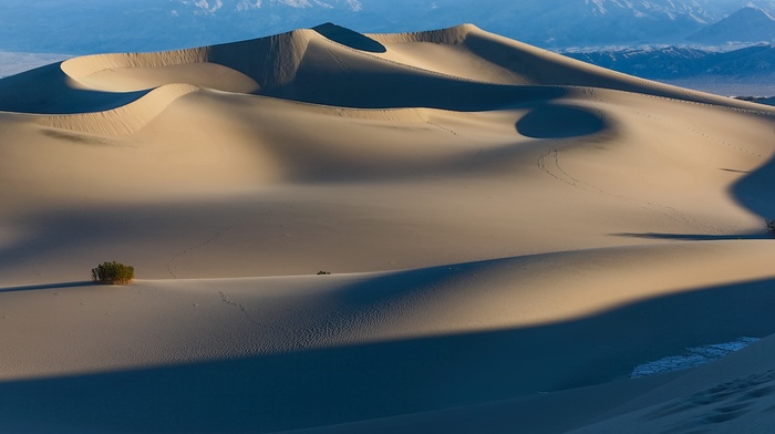 sand, desert, nature