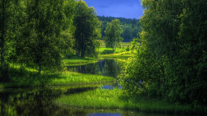 trees, reflection, nature, forest, stunner, fishing, beautiful, river, water, light
