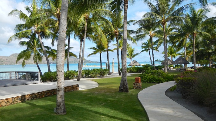 summer, tropics, sea, beach