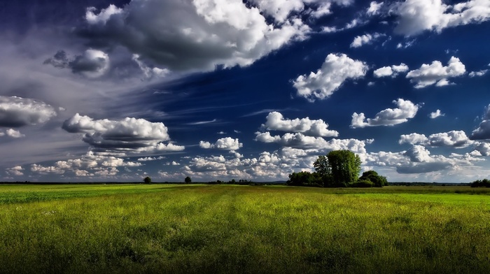 greenery, nature, clouds, summer, sky
