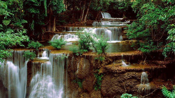 jungle, greenery, nature, trees, river, beautiful, water, waterfall