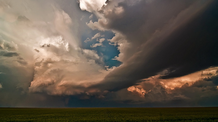 field, nature, beauty, sky