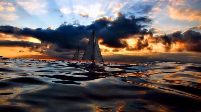 sea, sailfish, nature, sunset