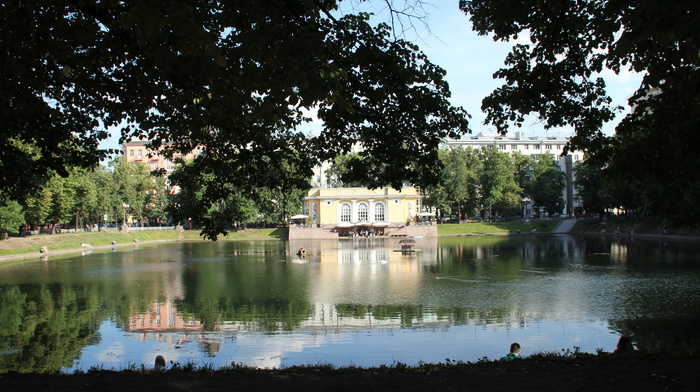 nature, pond