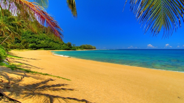 sand, sky, landscape, nature, river, clouds, palm trees