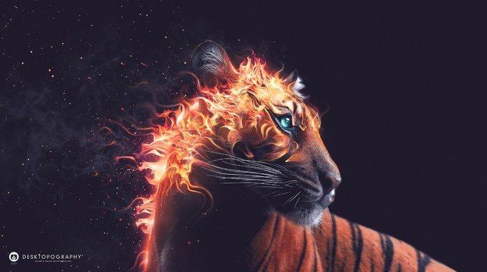 Desktopography, artwork, fire, animals, digital art, tiger