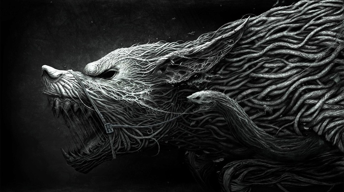 wolf