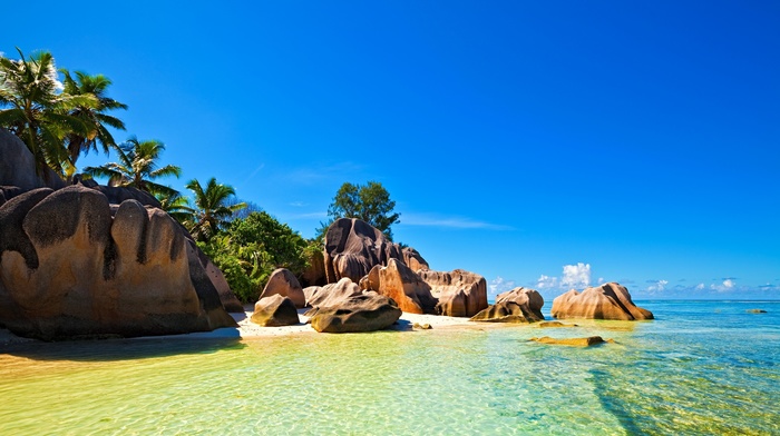 palm trees, beautiful, beach, stones, nature, sky, island, summer, rocks, tropics, clouds