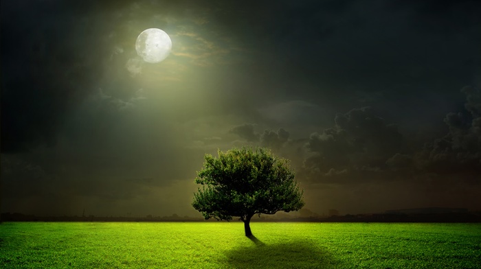 fantasy, tree, nature, photoshop, night, clouds, moon