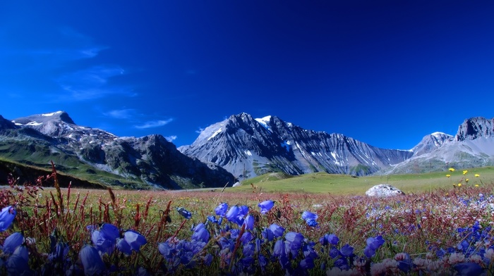 nature, sky, mountain, flowers