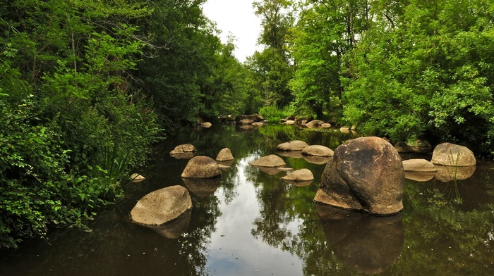 rest, stones, river, fishing, beautiful, theme, forest, nature