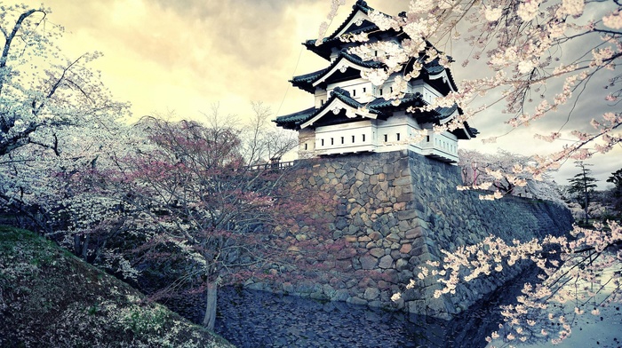 castle, Japan, cherry blossom