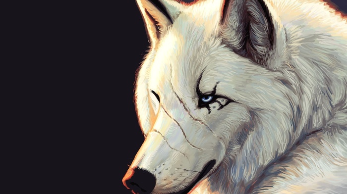 wolf