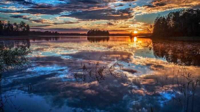 trees, summer, sky, clouds, nature, Sun, sunset, forest, lake