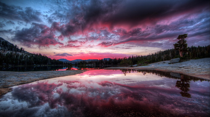 clouds, sunset, reflection, nature, trees, river, forest