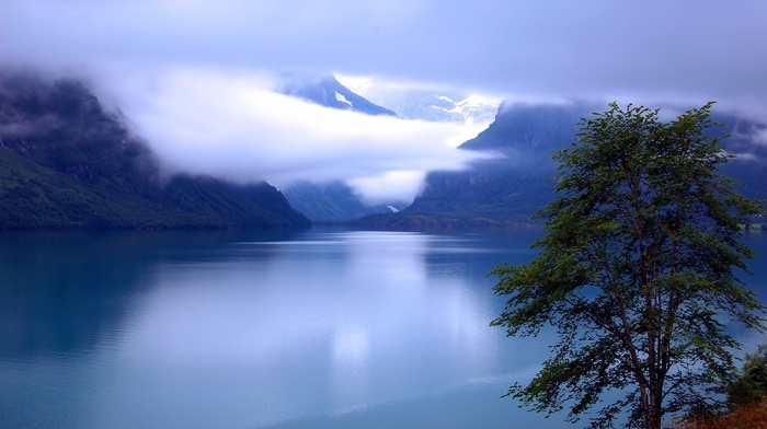 mountain, nature, river, mist