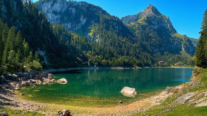 stunner, forest, Alps, fishing, sky, beautiful, lake, mountain, nature