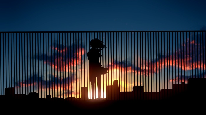 anime, sunset