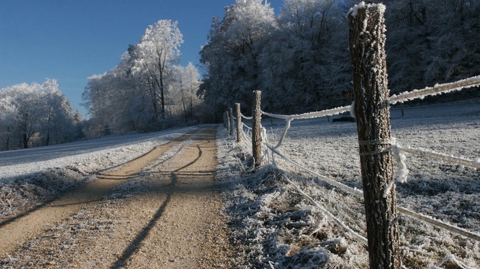 nature, snow, fence, trees, path