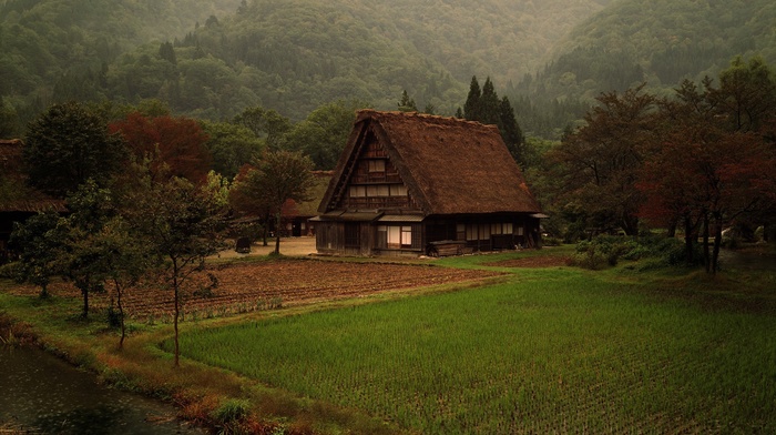 cabin, nature, Japan, forest, grass