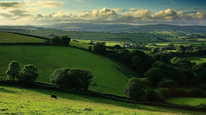 clouds, hills, trees, stunner