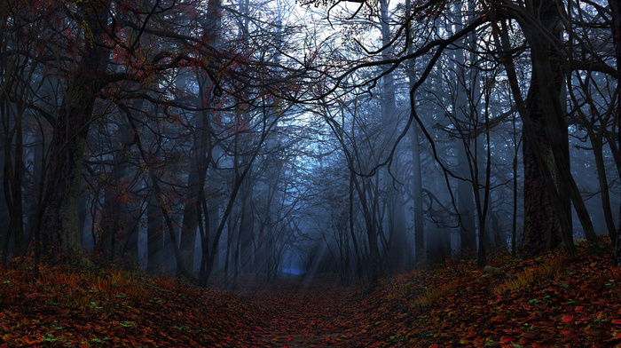 autumn, leaves, rays, forest, 3D