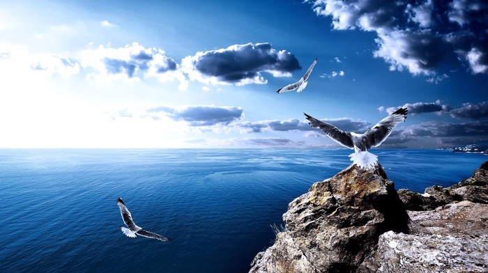 sea, nature, sky