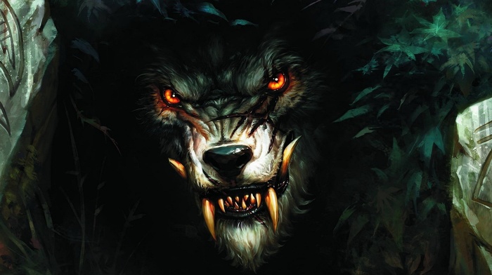wolf