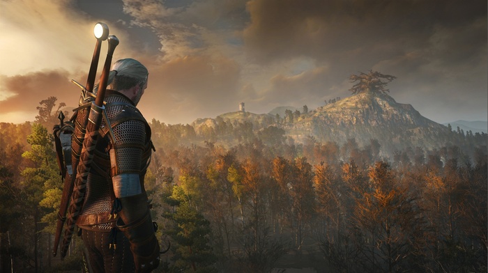 The Witcher