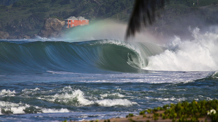 surf, beauty, stunner, ocean, greenery
