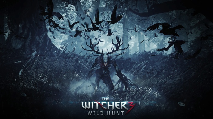 The Witcher, video games, The Witcher 3 Wild Hunt