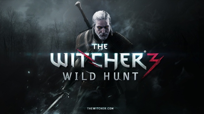 The Witcher