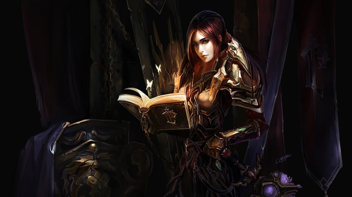 Warcraft, fantasy art, Paladin