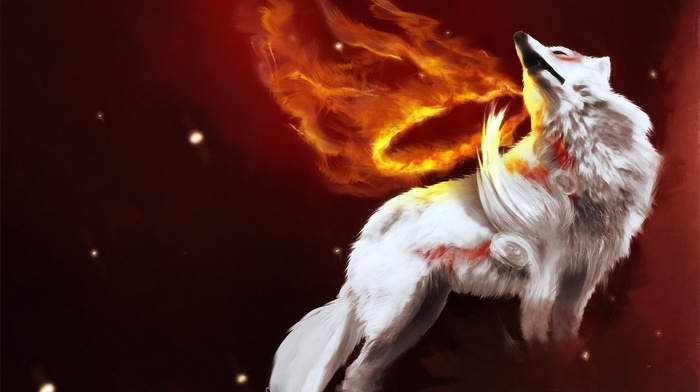 okami