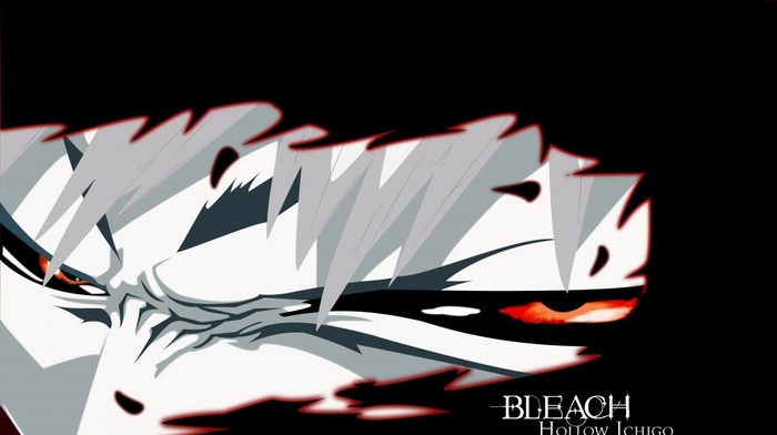 Bleach, Kurosaki Ichigo, anime, Hollow