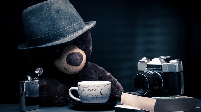 teddy bears, alcohol, camera, coffee, books
