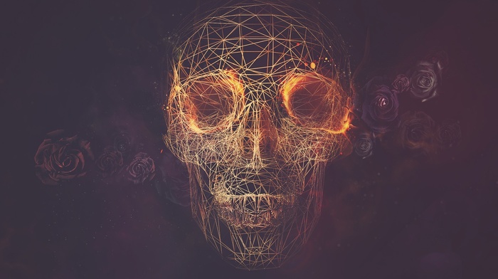 artwork, skull
