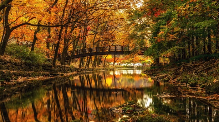 river, stones, forest, reflection, bridge, nature, landscape, fall, branch, trees, water