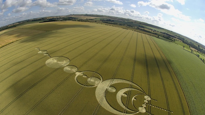 field, nature