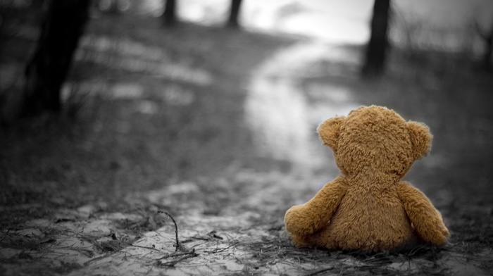 teddy bears, nature, depth of field, selective coloring, gloomy