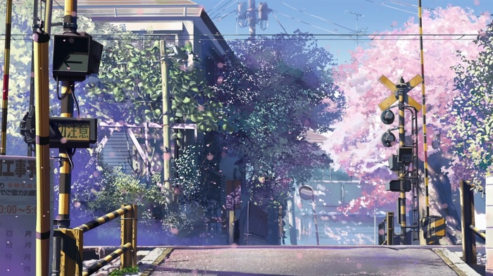 cherry blossom, 5 Centimeters Per Second