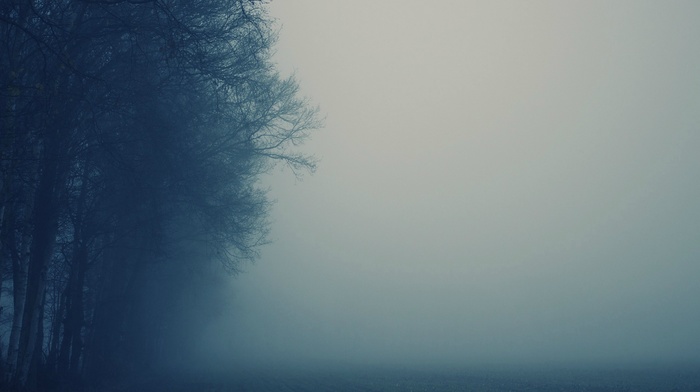 mist, nature