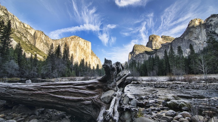 mountain, USA, trees, forest, nature, dead trees, branch, stones, lake, clouds, landscape, Yosemite National Park